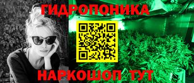 apvp Кунгур
