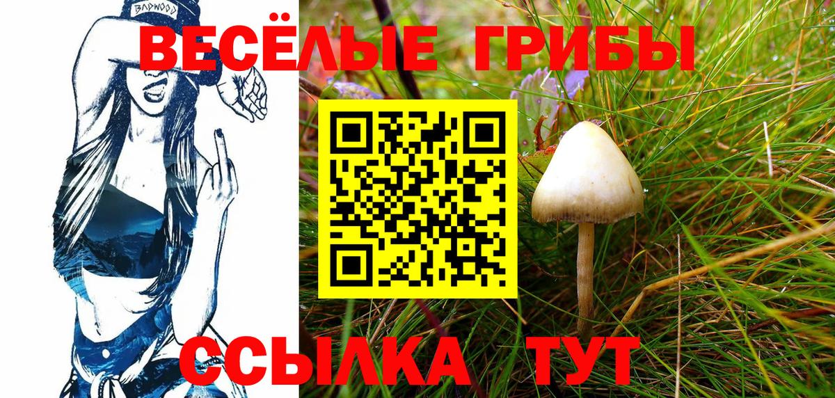 Каменск-Шахтинский  Псилоцибиновые грибы GOLDEN TEACHER  Галлюциногенные грибы MAGIC MUSHROOMS  Вход с VPN 
