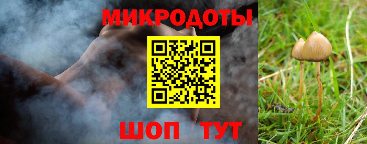 Галлюциногенные грибы Cubensis Каменск-Шахтинский
